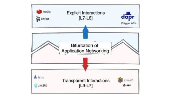 The Bifurcation of Application Networking
